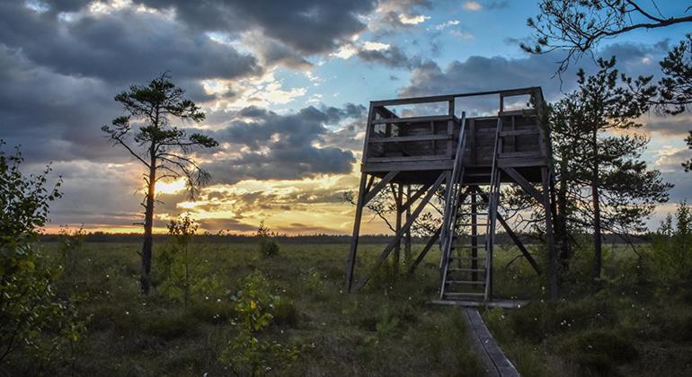 Gulliga Torpet Villa Vislanda Bagian luar foto